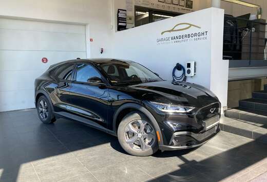 Ford EXTENDED RANGE 99 KWH PANO DAK  28000KM!!!