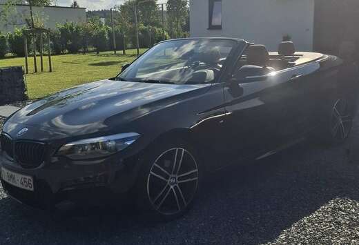 BMW Cabrio 218i OPF