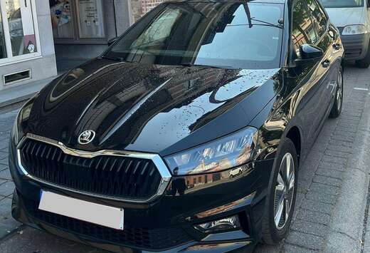 Skoda Fabia 1.0 TSI Clever  Clever