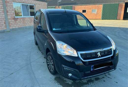 Peugeot 1.6 BlueHDi L2H1 Pro 121 S/S