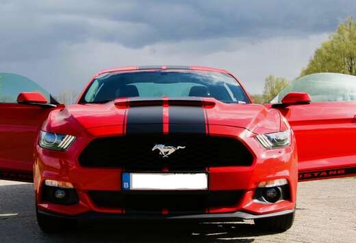 Ford Mustang 2.3 EcoBoost