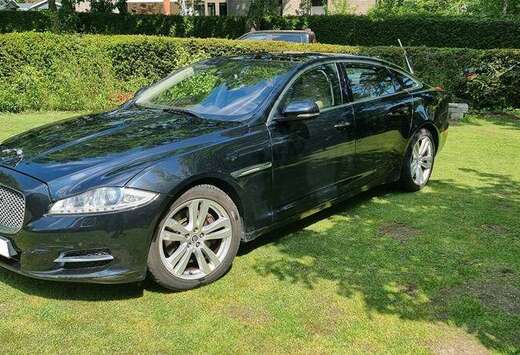 Jaguar XJ 3.0D V6 Premium Business Edition