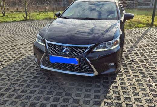 Lexus Executive Line