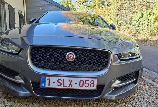 Jaguar XE 2.0 D E-Performance Business Ed.R-Sport