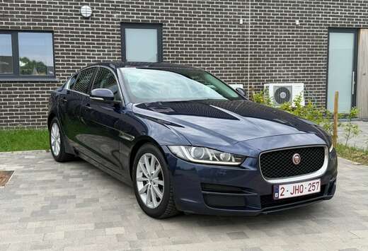 Jaguar XE 2.0 D E-Performance Business Ed.Prestige