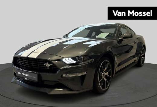 Ford 2.3i EcoBoost  55 Years Edition  Active Exhaust