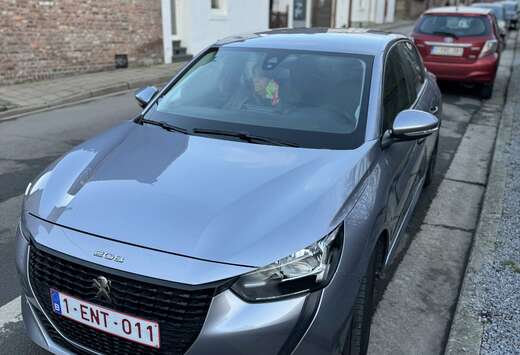 Peugeot 1.2i PureTech Like (EU6.3)