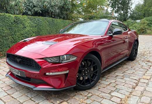 Ford 2.3 EcoBoost Fastback Ruby Red  ### 49000 km ###