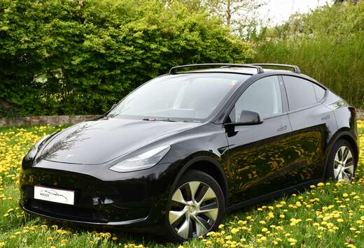 Tesla RWD 58 kWh  MAERA  LED  LEDER  PANO