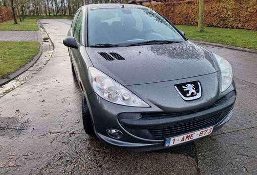 Peugeot 206+ 60