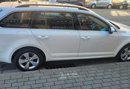 Skoda SW CNG 1.5 TSI G-TEC Clever DSG