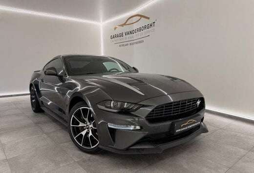 Ford BENZINE 43000KM +TAL VAN OPTIES