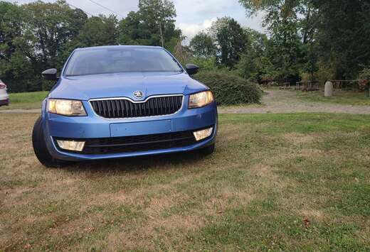 Skoda 1.6 TDI DPF Ambition