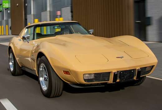 Chevrolet V8 350 BVM