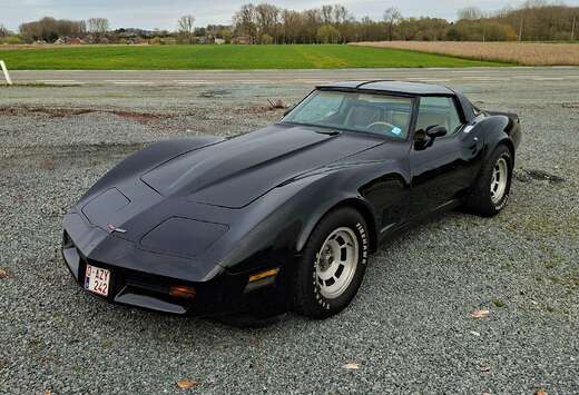 Corvette 1981