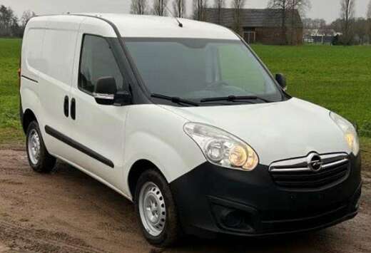 Opel 1.3 CDTi L1H1 (EU6)