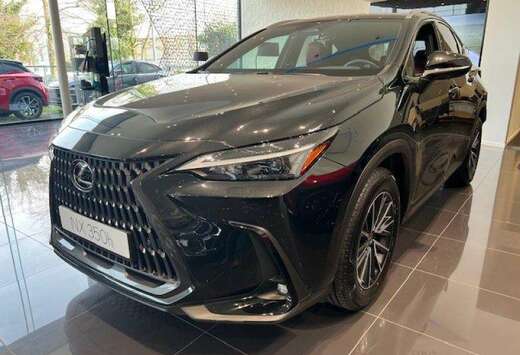 Lexus Executive Line