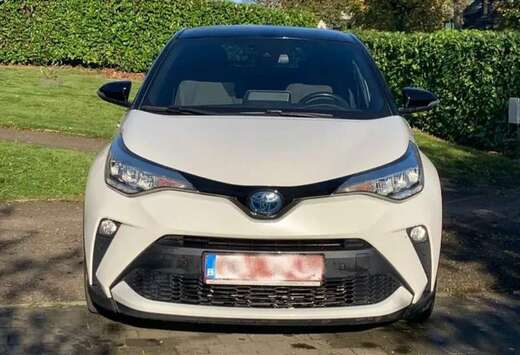 Toyota Hybrid Lounge