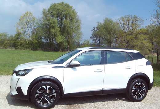 Peugeot Benzine 95dkm 17\