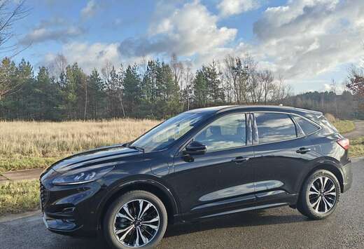 Ford 2.5 Duratec PHEV ST-LINE