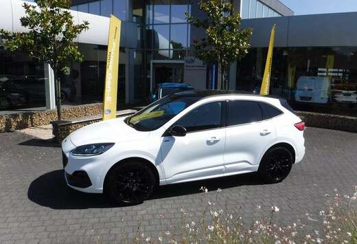 Ford EcoBoost ST-Line X