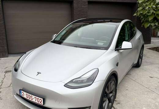 Tesla Performance in Satin Aluminium, HUD, Pano, Alca ...