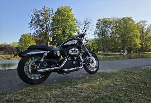 XL 1200 R