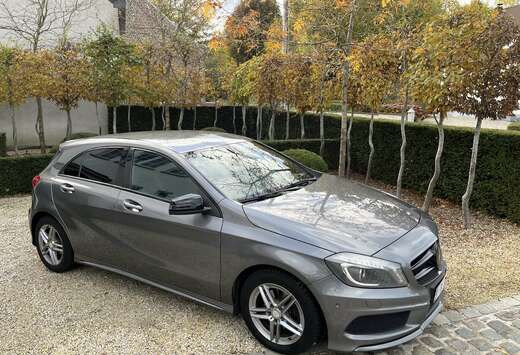 Mercedes-Benz CDI AMG  LICHTE VRACHT / Utiliaire