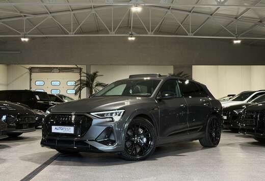 Audi 55 Quattro S-Line Daytona Grey - Garantie