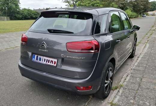 Citroen BlueHDi 130 pk Car Pass