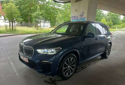 BMW X5 3.0 dA xDrive30 AdBlue (EU6c)