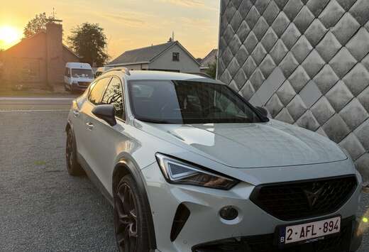 cupra formentor vz5 limited edition taiga grey