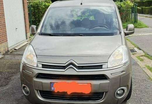Citroen 1.9 D X