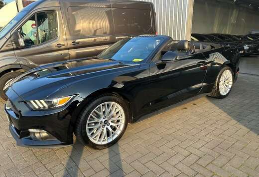 Ford 2.3i Cabrio automaat+gps+camera+leder+cruise+kli ...