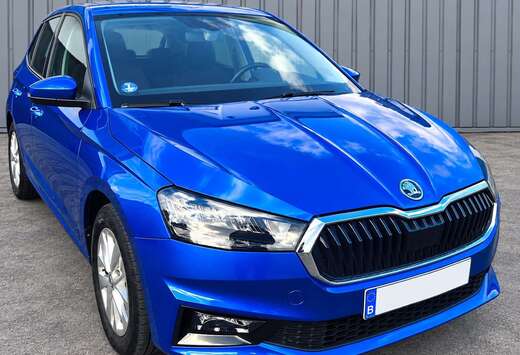 Skoda 1.0 TSI Ambition (EU6AP)