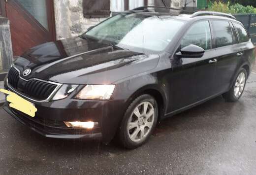 Skoda Combi 1.0 TSI 116 ch Active