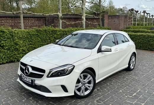 Mercedes-Benz Led / Sportzetels
