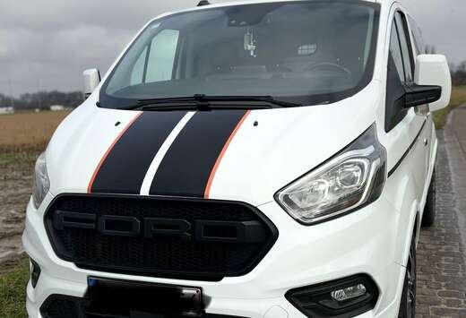 Ford 2.0 TDCi L1H1 Sport S/S (EU6.2)