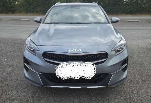 Kia 1.6 CRDi MHEV 136KM