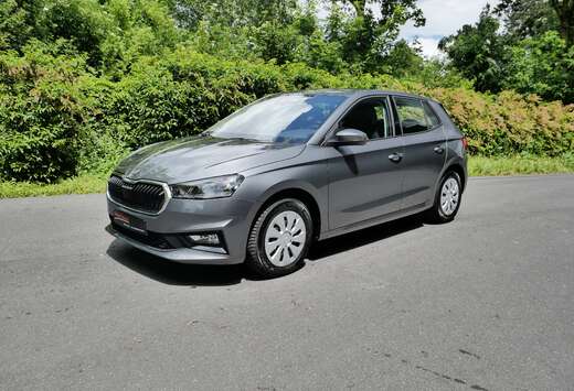 Skoda 1.0 TSI Selection DSG NIEUW