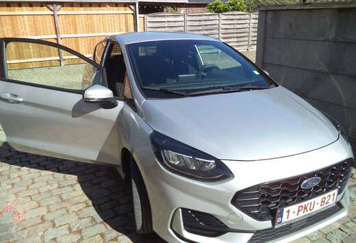 Ford Van (lichte vracht)