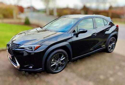 Lexus UX 250h 2.0i FWD Business Edition Plus