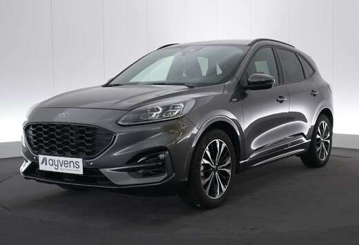 Ford 1.5i EcoBoost ST-Line X LEDER/ALCANTARA LED GPS  ...