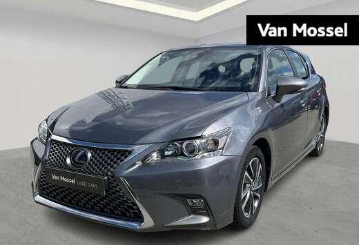 Lexus Business Line