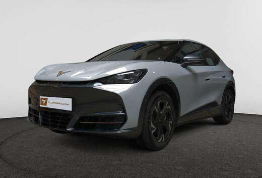 Tavascan Endurance Business 286ch (210kW) v 77 kWh Re ...