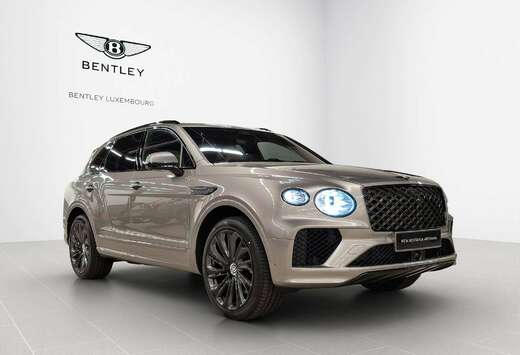 Bentley Artenara Edition V8