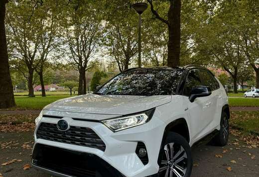 Toyota RAV 4 2.5 4x4 Hybrid Style Selection