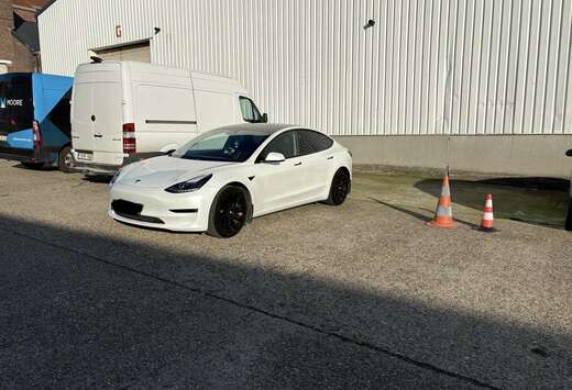 Tesla Standard Reichweite Plus Hinterradantrieb