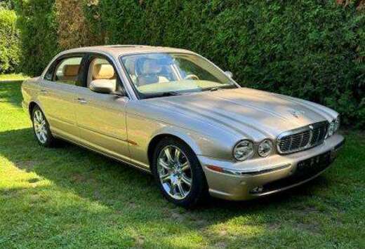 Jaguar XJ8+4.2+Executive