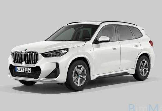 BMW X1 20i  H. Kardon  Pano  Camera  Carplay  CC